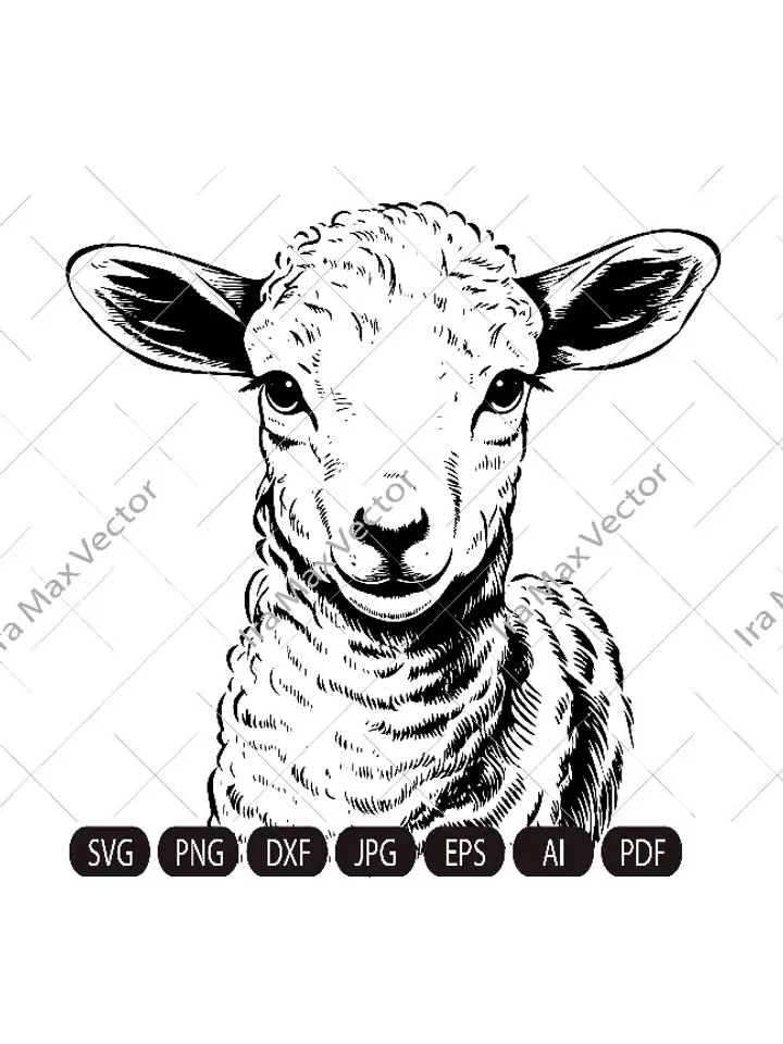 Lamb Svg, Lamb head svg, Lamb face ,Sheep svg, Cute Farm Animal, Livestock,farm life, Lamb Clipart, Lamb Vector, Lamb printable, Lambs svg