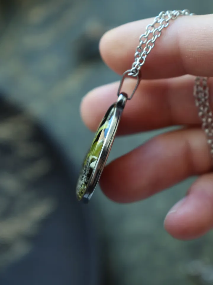 Lichen pendant. Pendant with lichen in resin. Necklace with real lichen. Forest medallion with lichen and moss in resin.