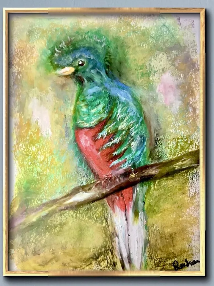 Quetzal bird,original oil pastel painting,exotic birds painting,colourful oil pastel painting,affordable art,wall decoration gift.