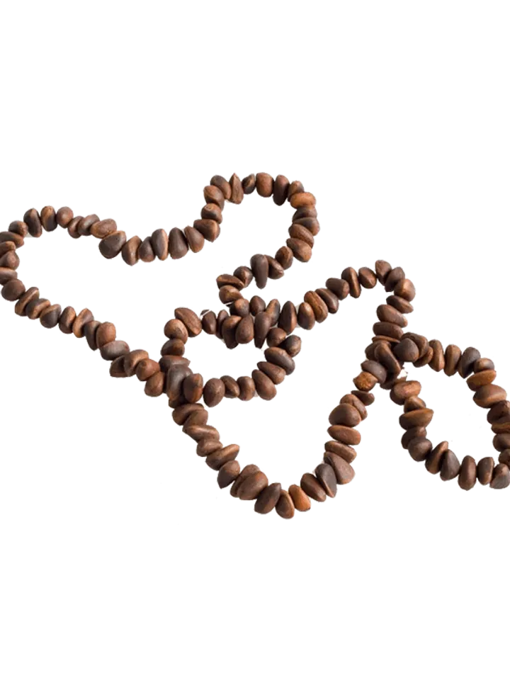 Accessory beads made from Siberian cedar seeds