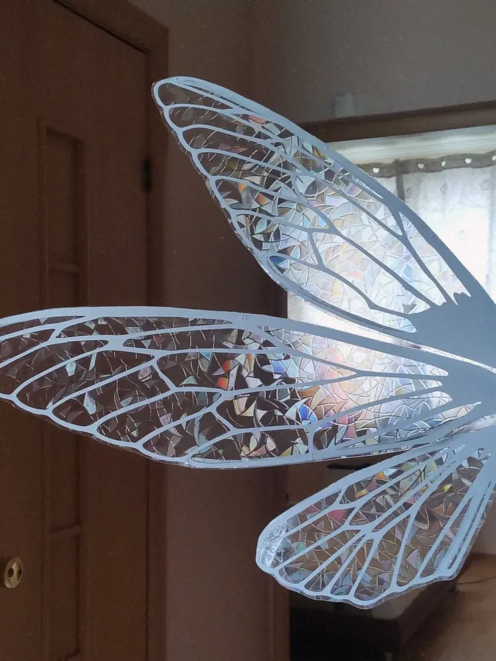 Rainbow holographic fairy wings