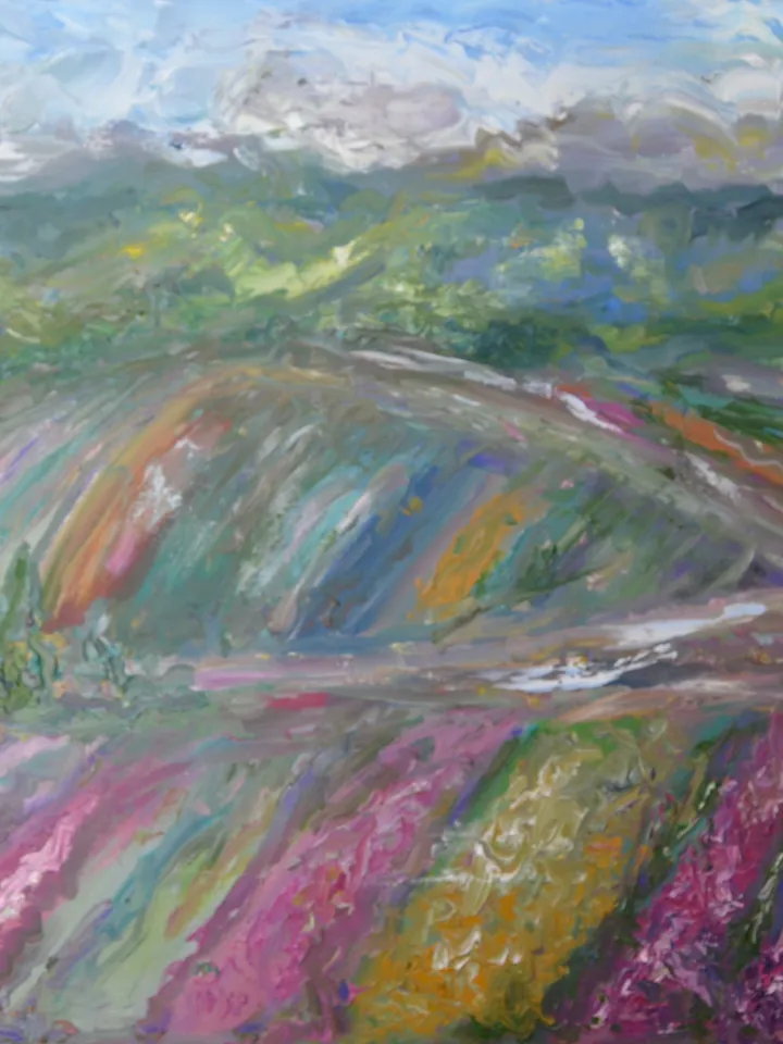 Japanese fields large canvas ,original oil landscape painting,,meadows,mountains,coloured fields painting,50/70 sm canvas wall art.