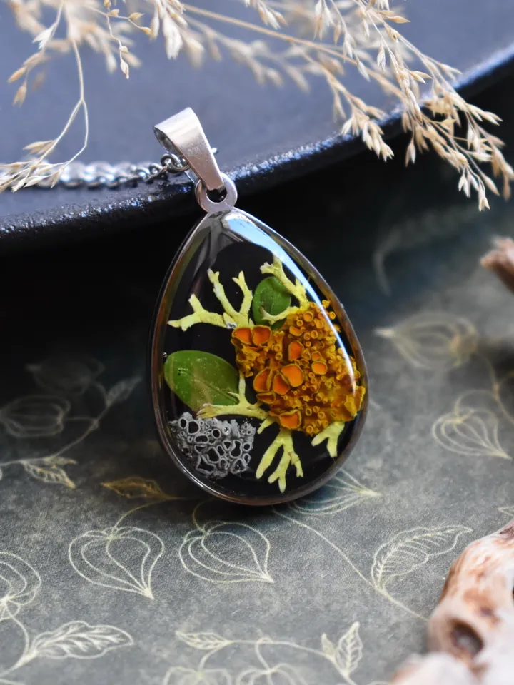 Lichen drop pendant. Pendant with lichen in resin. Necklace with real lichen. Forest medallion with lichen and moss in resin.