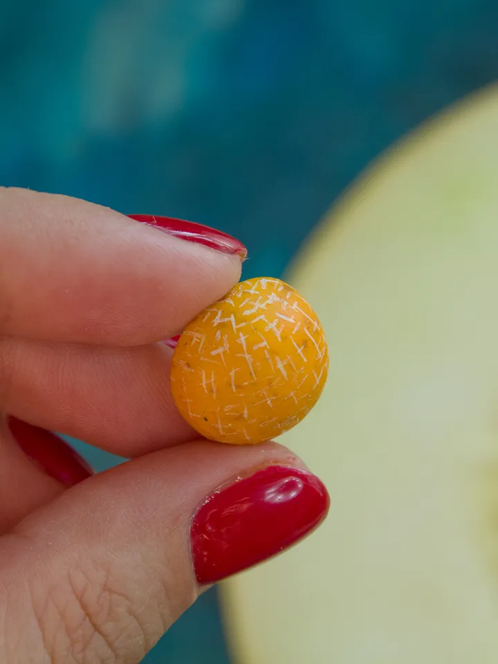 TUTORIAL Miniature melon with polymer clay