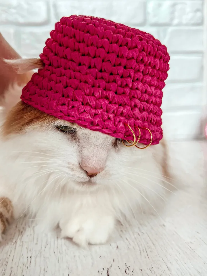 Pets bucket hat crochet pattern PDF, digital instant download, video tutorial, hat for cats and small dogs, kalush orchestra, pink hat