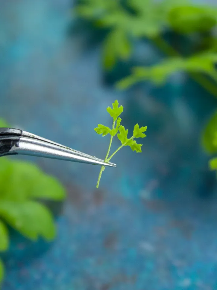 TUTORIAL Miniature parsley with air dry clay
