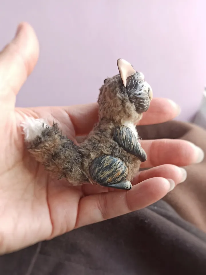 Sly cat art doll