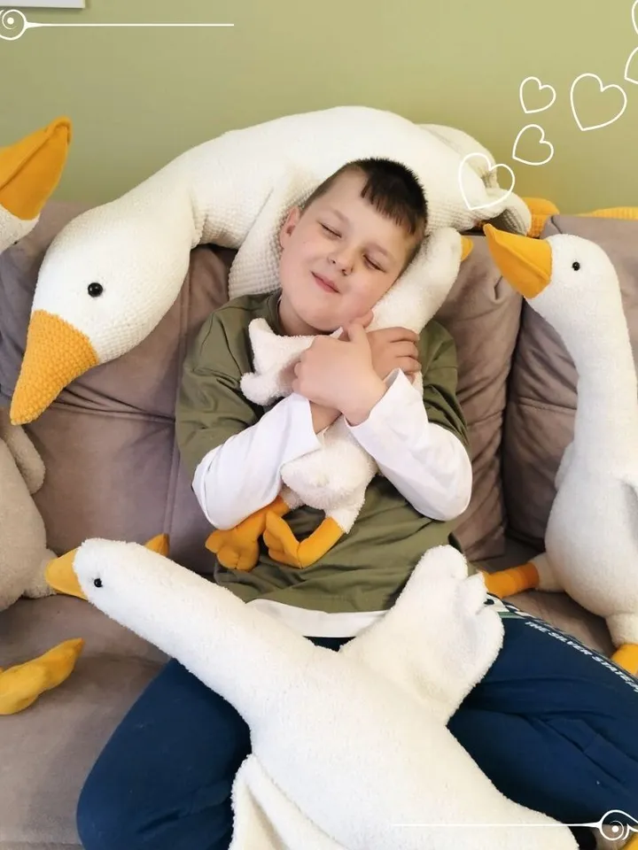 2 Patterns of geese PDF/ Create 2 sizes of Cuddle Geese/ Stuffed toys as a birthday present