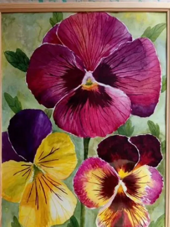 Framed painting under glass "Pansies", watercolor, size 40 x 30 cm