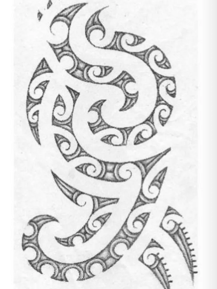 Shane Gallagher - Koru in lines