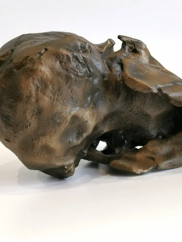 Homo Naledi NEO Skull Replica LES 1, Prehistoric Fossil Collection, Realistic Hominid Skull, Museum Quality