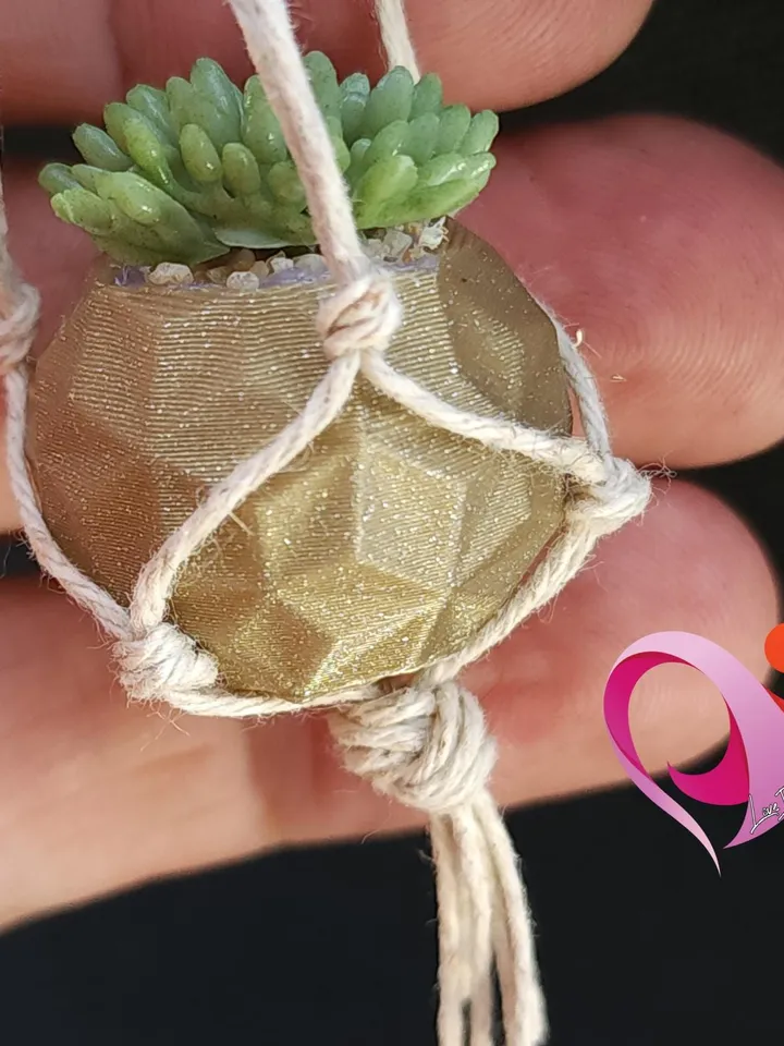 Mini Macrame Succulent Magnet for Fridge or Locker Unique Gift for Plant Lovers Cute Boho Kitchen Decor Under 10