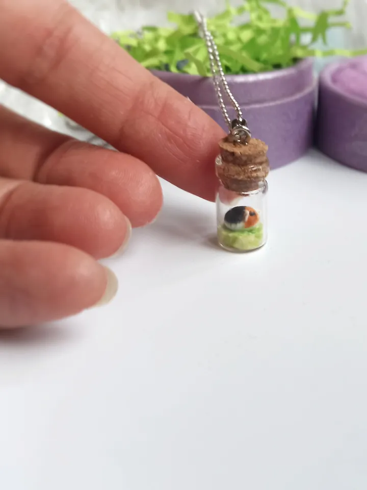 Handmade tricolor guinea pig in a glass jar (US discount)
