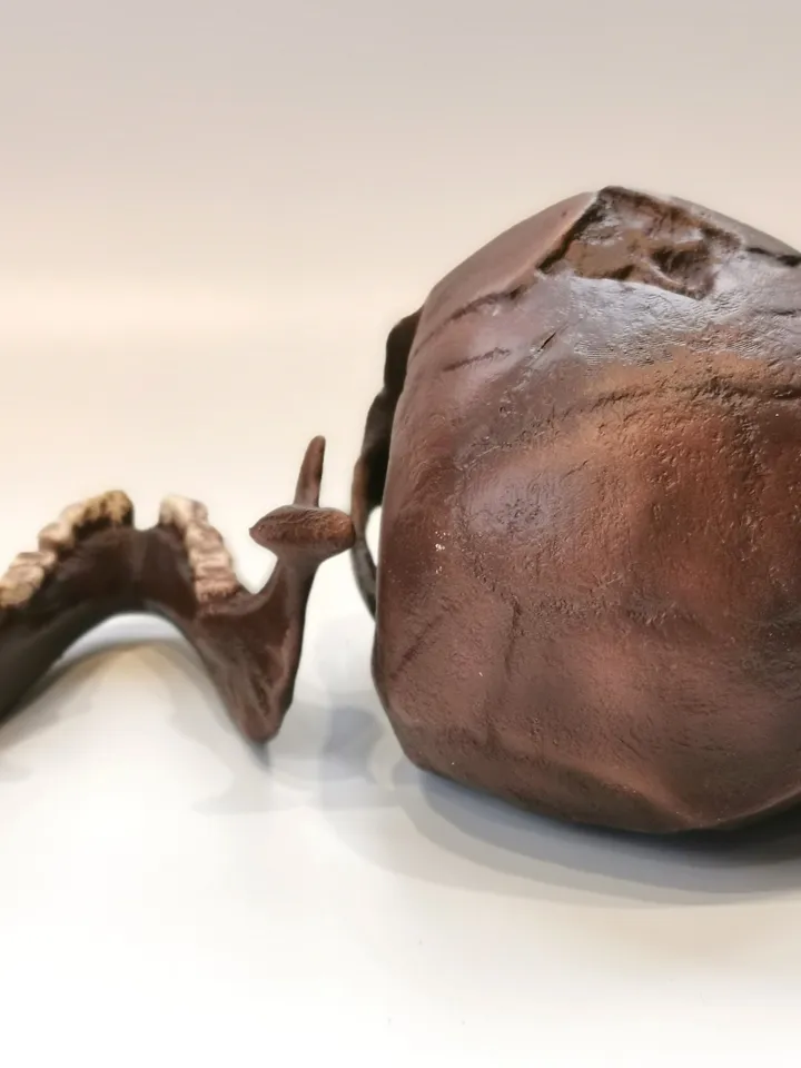 Homo Floresiensis Skull Replica (Hobbit), Prehistoric Fossil Collection, Realistic Hominid Skull