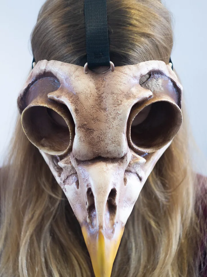 Bird Skull Mask, Owl Skull, Viking skull Mask, bird mask, plague doctor mask, steampunk bird mask, bird beak mask, Voodoo Mask, Raven Mask