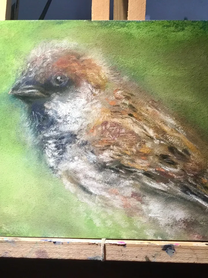 Sparrow bird original soft pastel painting on cardboard,nature,birds paintings,small painting gift,home decoration.