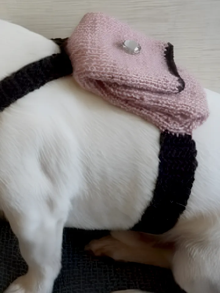 Dog Backpack