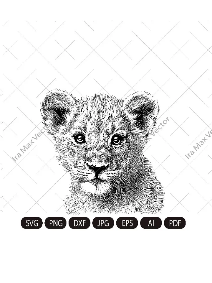 Lion cub face svg, Baby Lion svg, Nursery Decor, Safari African Animals, Lion Cub, Nursery Wall Art, Kids Printable Art