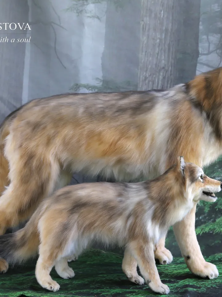 Wolf family. Realistic plush animals. Ooak toy. Wolf stuffed toy
