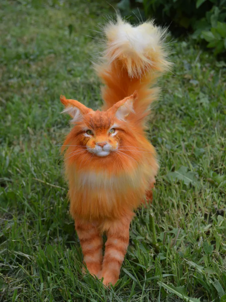 Maine Сoon realistic cat