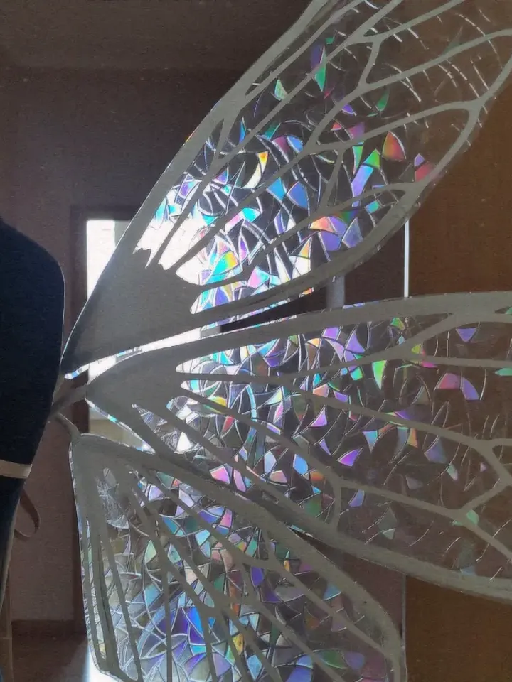 Rainbow holographic fairy wings
