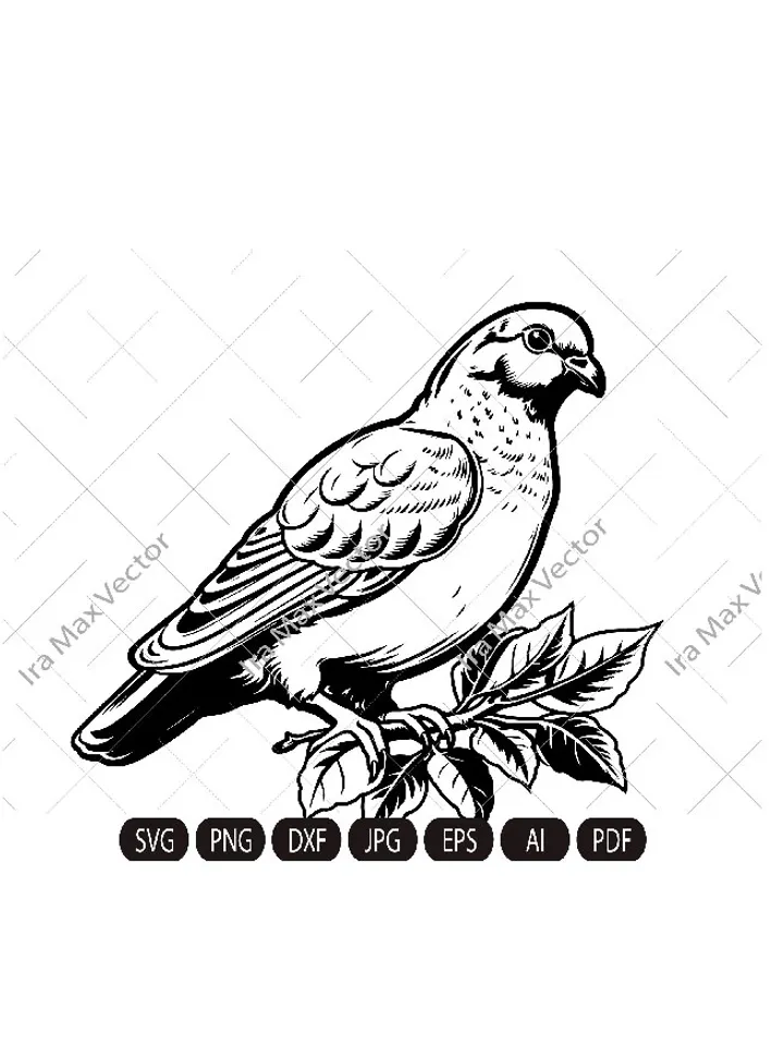 Pigeon dove svg, Standing Pigeon svg, Pigeon on the branch,Bird svg - Clipart, Silhouette, Laser, Vinyl Cutter, Decal Sticker, T-Shirt File.
