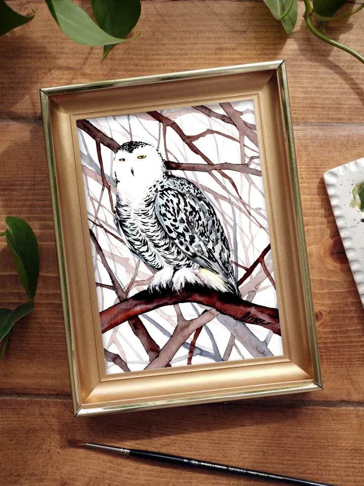 White Owl Original watercolor, bird painting, wall decor, birds lover gift, 8x11 in handmade art by Anne Gorywine