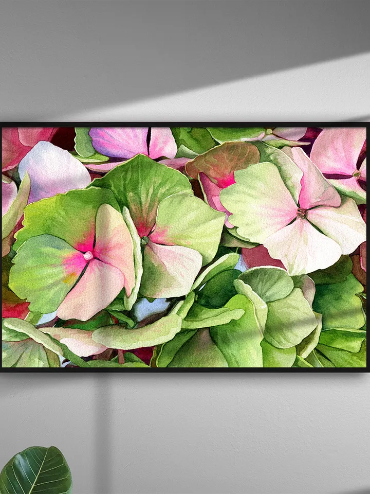 Watercolor picture with hortense, Watercolor digital file, Art print from the original painting, Poster with flowers