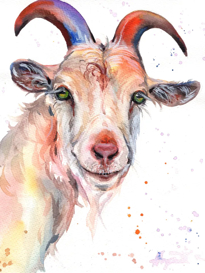 Goat original watercolor, animals painting, wall decor, 7x10 in art for animal lovers by Anne Gorywine