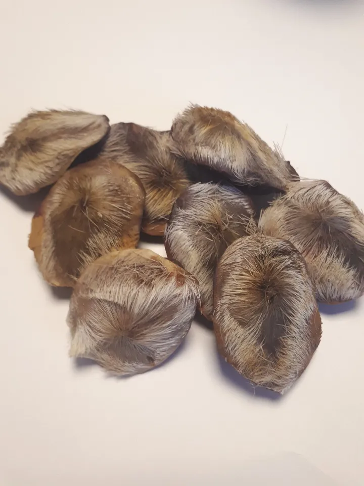 Musk musk deer (pure) 1 gram