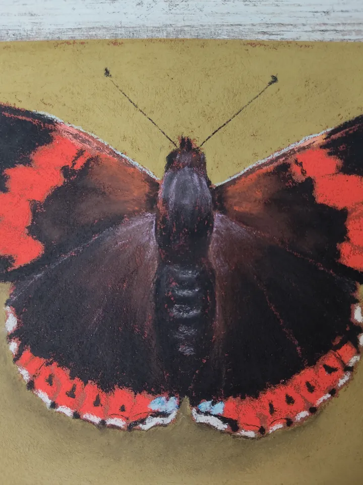 Butterfly. Original soft pastel drawing.