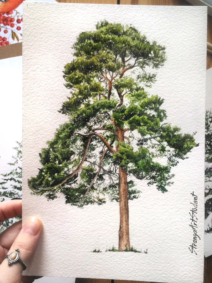 Watercolor poster "PINE TREE"