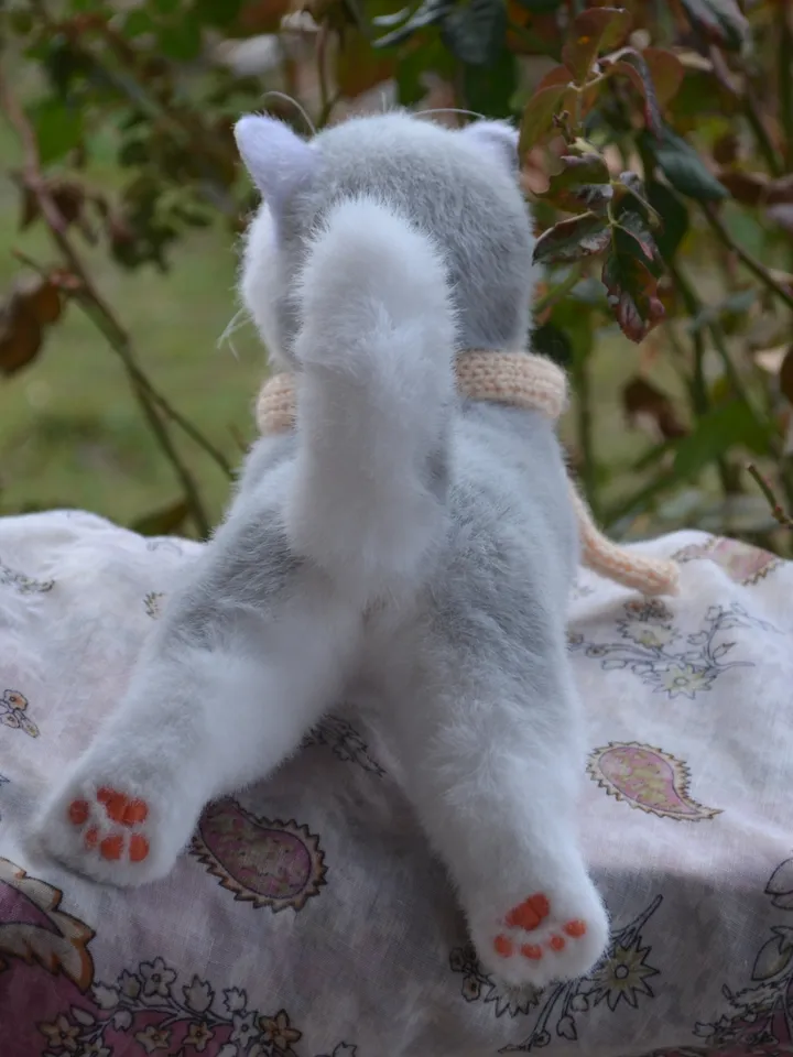 Kitten Marie