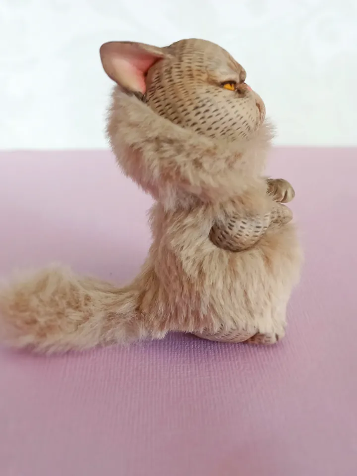 Offended angry cat