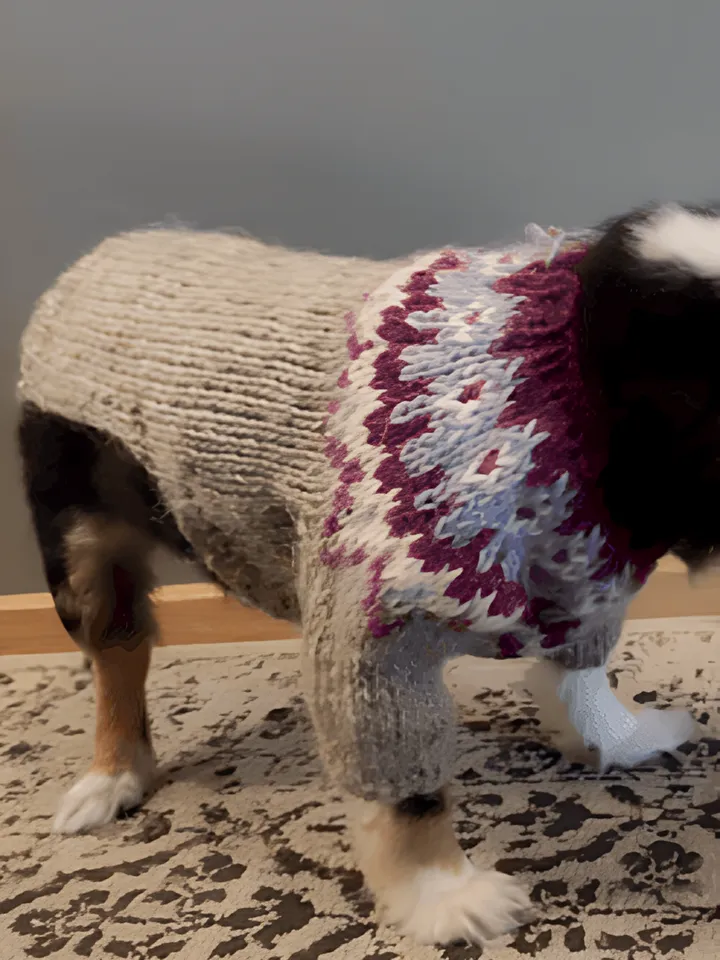 Alda Dog Sweater