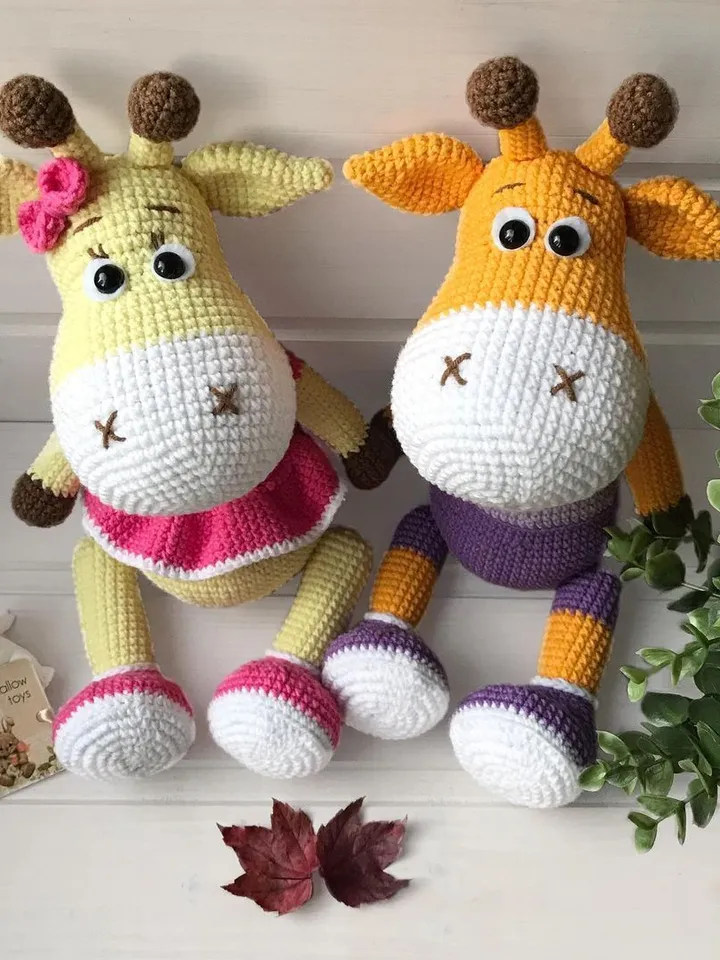 A couple of giraffes