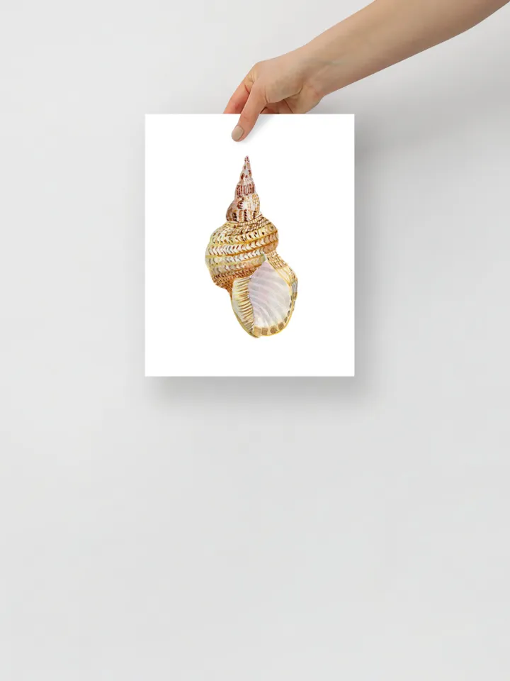 Sea Shell Art, Set Of 4 Art Prints, Watercolor Nautical Painting, Coastal Art Prints, Beach Gift, Seaside Decor, Bathroom Art