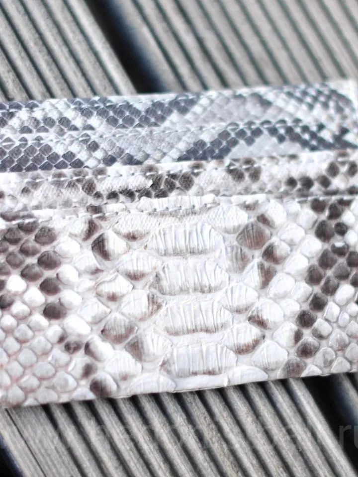 Genuine python skin creditcards holder | business cads holder gray snake colour unisex wallet small | gift idea exotic python skin leather