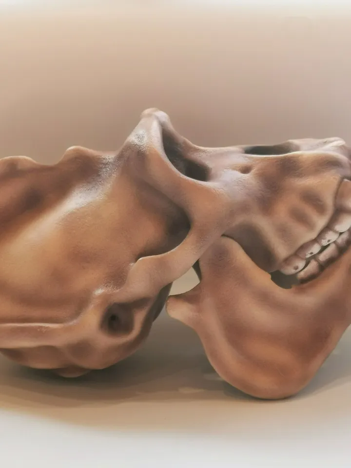 Gorilla Skull, Monkey Skull, Animal Skull Replica, Anthropology Primate Model