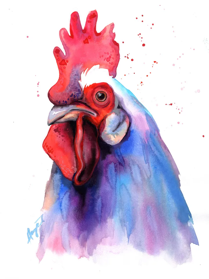 Rooster Original watercolor, farm bird painting, wall decor, 8x11 in handmade birds art by Anne Gorywine