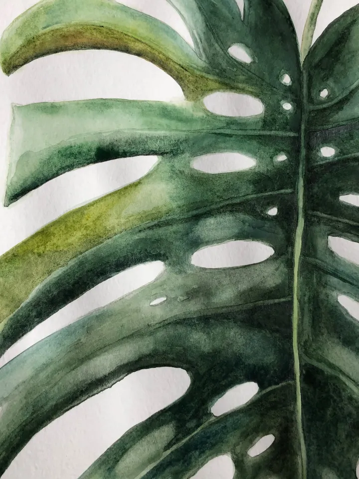 Original Watercolor painting monstera flowers wall art 11.6 x 16.4'' inches