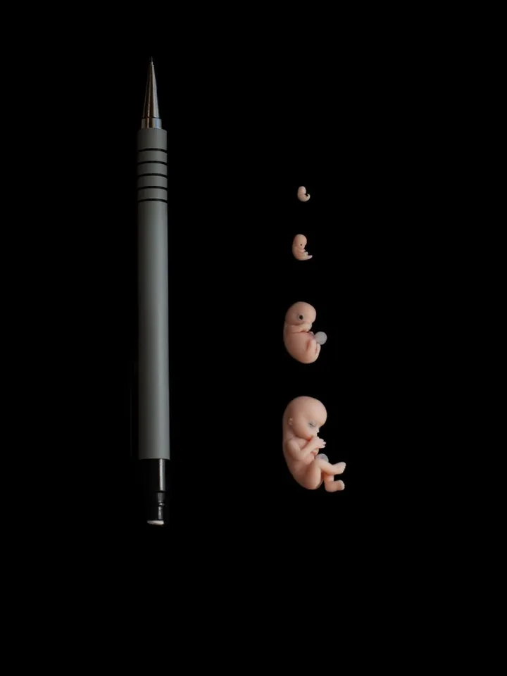 Set of 4 pcs, 1st trimester of pregnancy, figurines of intrauterine embryos,