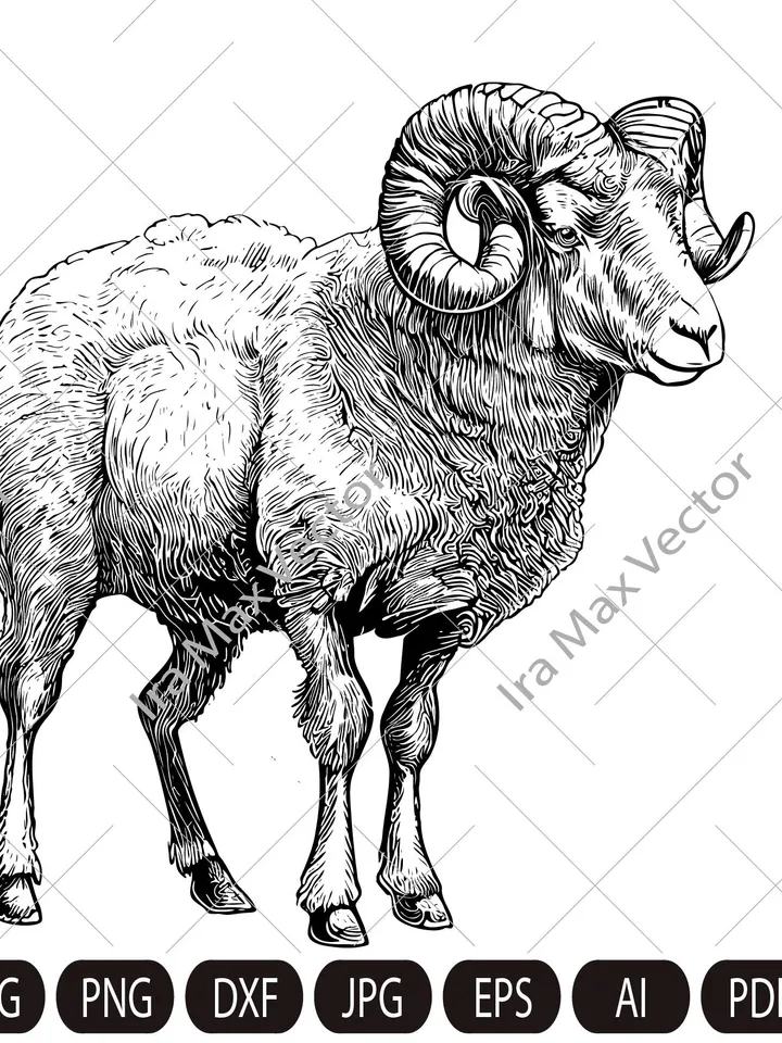 Ram Sheep SVG, Mountain sheep, Farm Animal Graphics Illustration,Ram T-Shirt ,Sheep Printable Clip Art ,Vector Digital Dxf Png Eps Ai