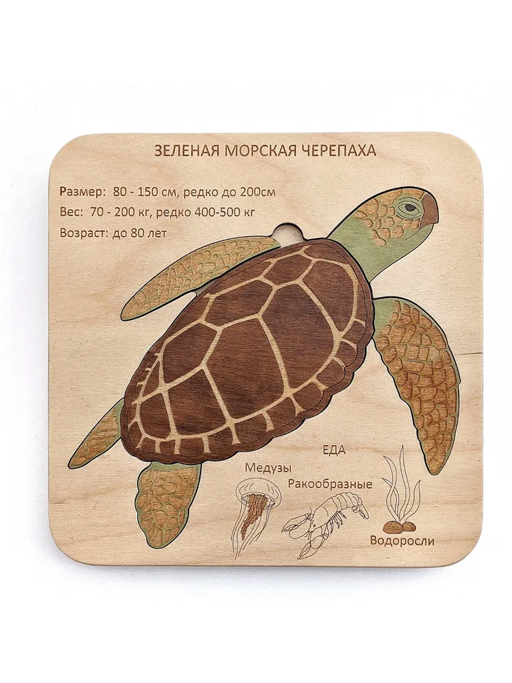 Wooden handmade Puzzle Green sea turtle Montessori puzzle science play