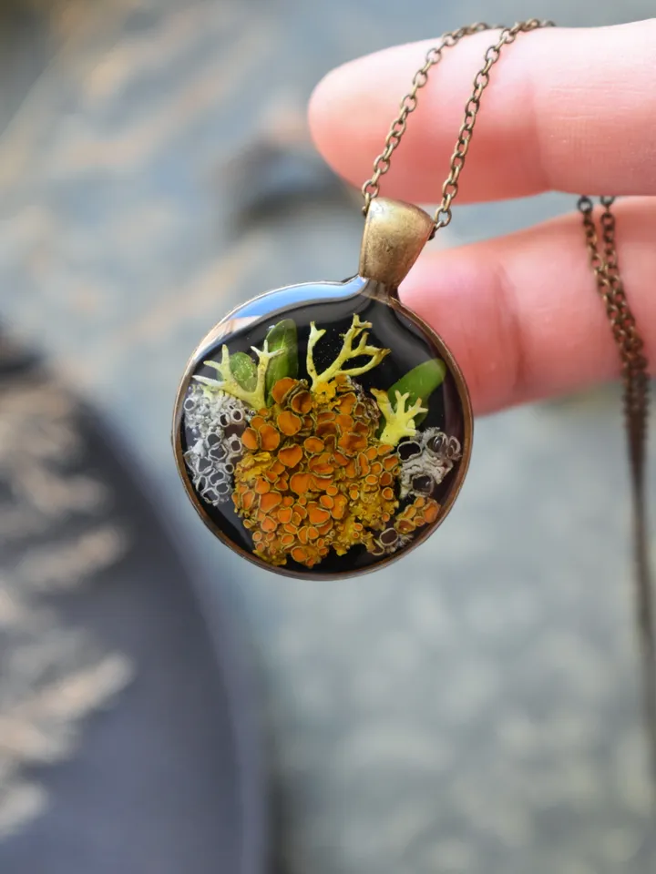 Lichen pendant. Pendant with lichen in resin. Necklace with real lichen. Forest medallion with lichen and moss in resin.