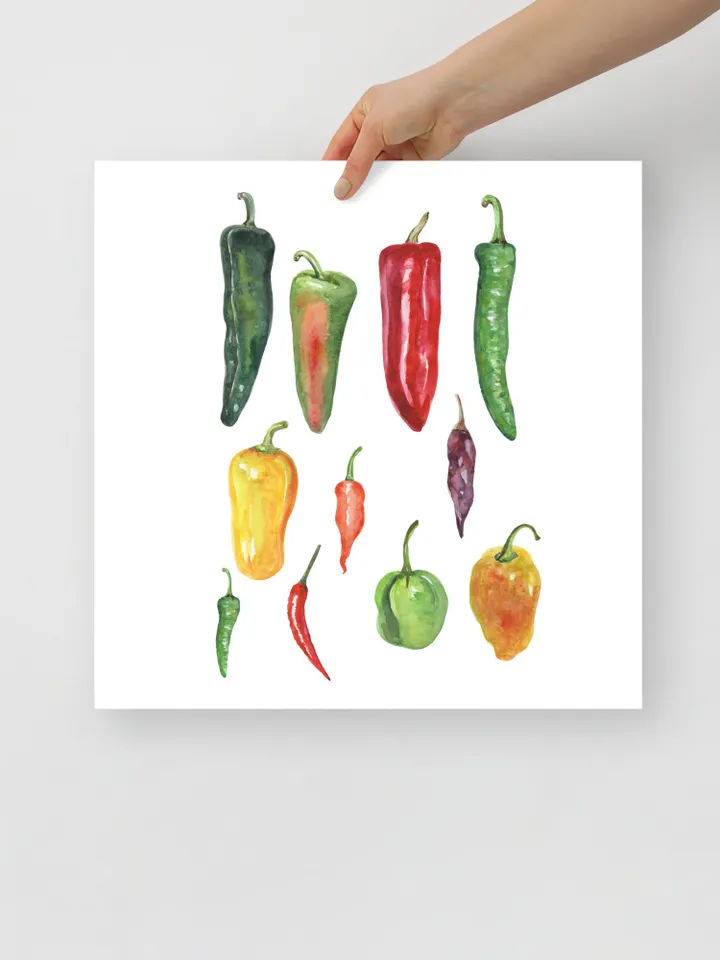 Chili Peppers Art Print, Watercolor Painting, Colorful Vegetables Art, Restaurant Decor, Kitchen Art Print, Chef Gift, Red Hot Pepper Print