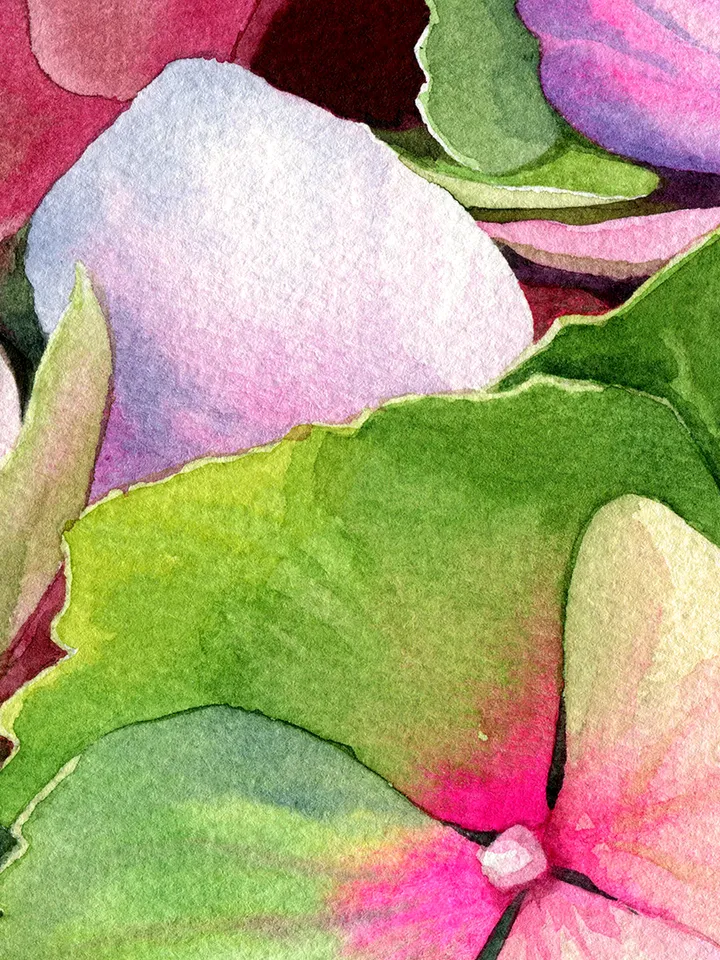 Watercolor picture with hortense, Watercolor digital file, Art print from the original painting, Poster with flowers