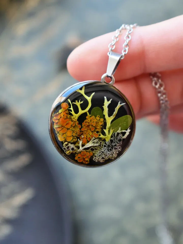 Lichen pendant. Pendant with lichen in resin. Necklace with real lichen. Forest medallion with lichen and moss in resin.