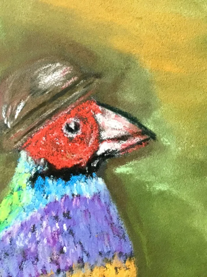 Funny birds painting ,3 friends, original pastel painting,bright colours.