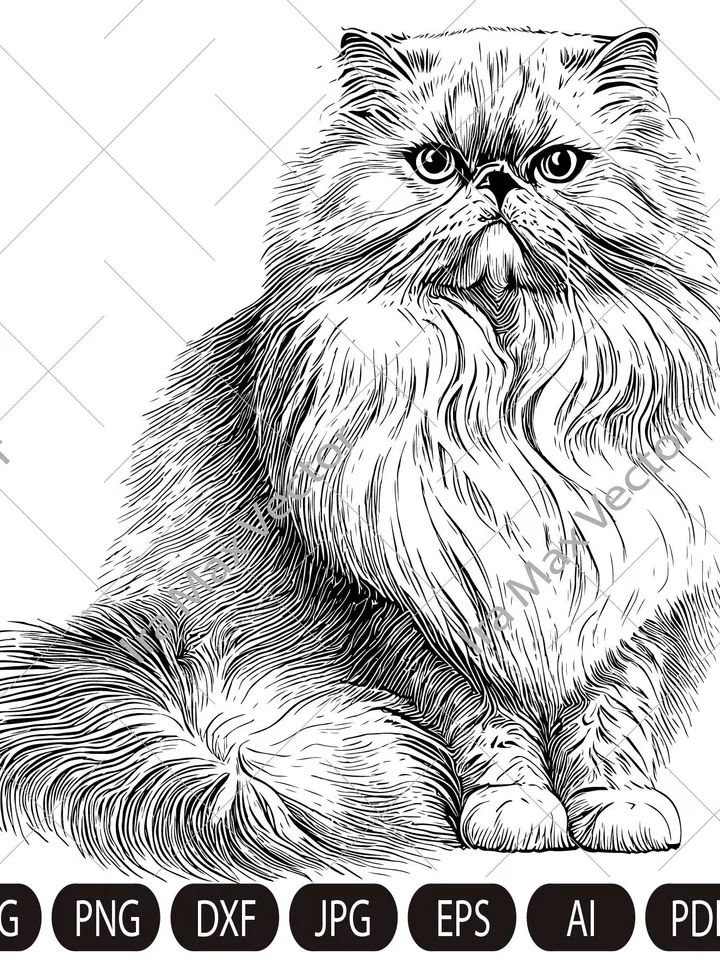Cat Svg , Cat persian svg, Persian fluffy cat, cute kitten face svg, cute cat face svg, cat faces svg, face svg, cat svg bundle, cat image
